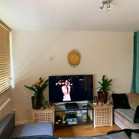 Garden Beautiful Cozy Flat , Recent Decorated. London Exterior photo
