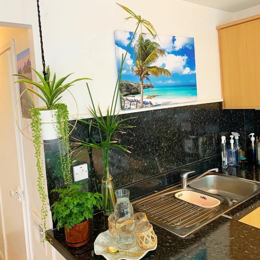 Garden Beautiful Cozy Flat , Recent Decorated. London Exterior photo