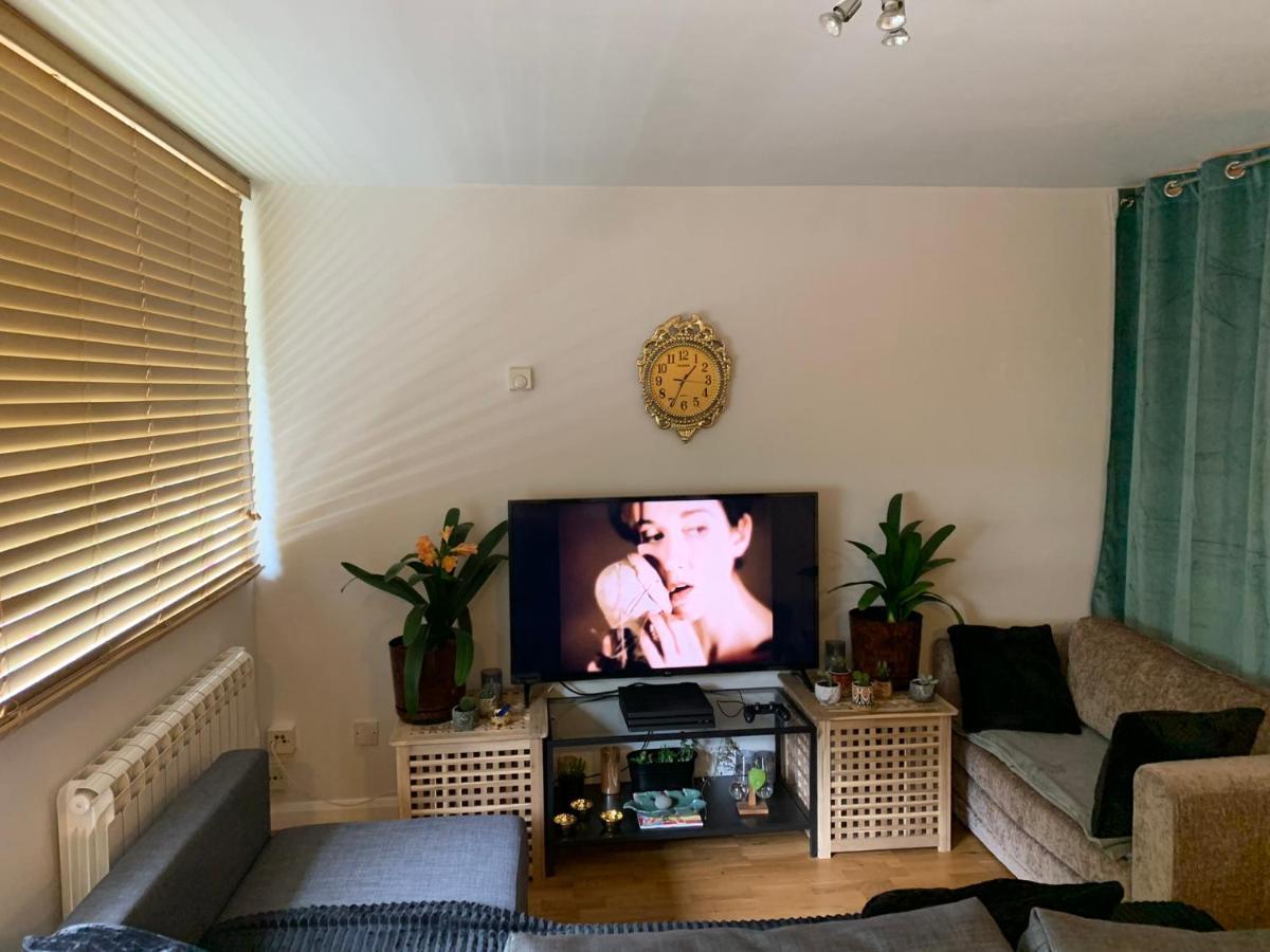 Garden Beautiful Cozy Flat , Recent Decorated. London Exterior photo