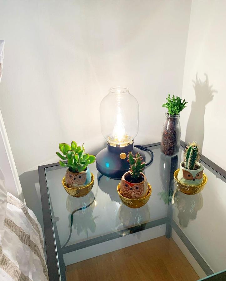 Garden Beautiful Cozy Flat , Recent Decorated. London Exterior photo