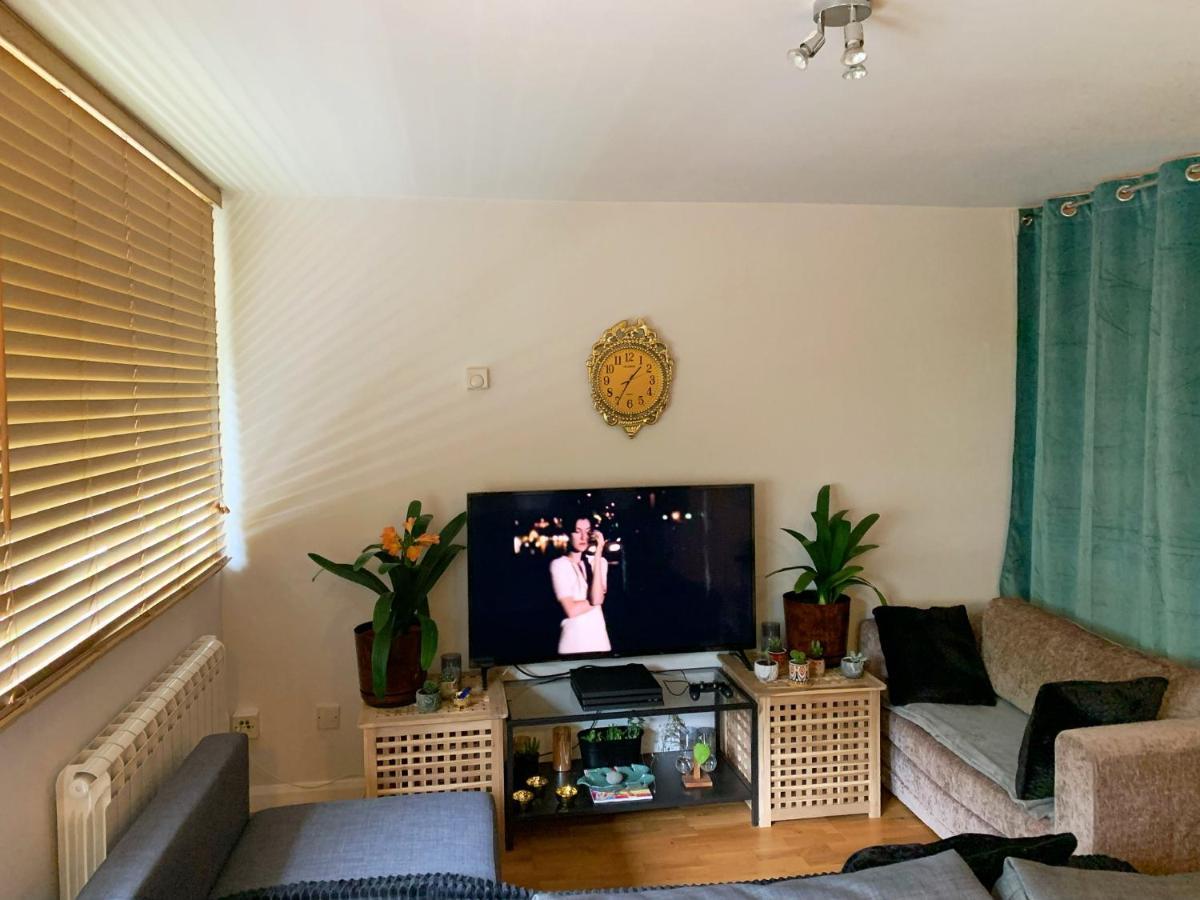 Garden Beautiful Cozy Flat , Recent Decorated. London Exterior photo