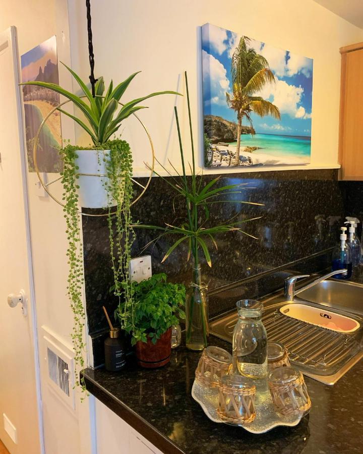 Garden Beautiful Cozy Flat , Recent Decorated. London Exterior photo